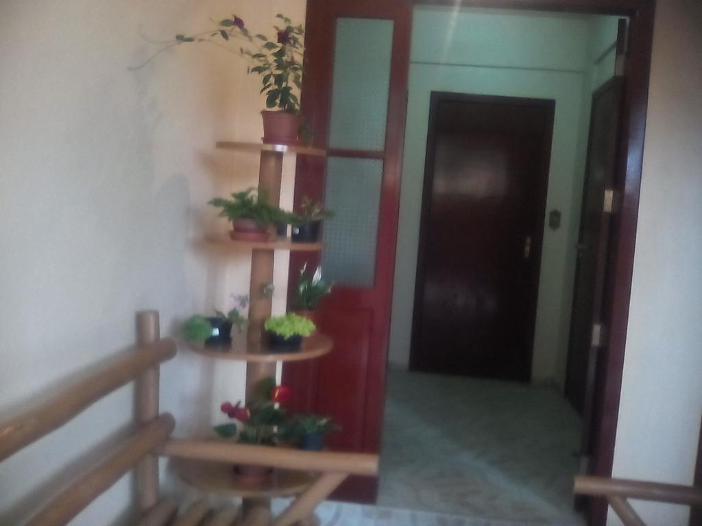 Residencial Dona Vilma Florianopolis Bagian luar foto